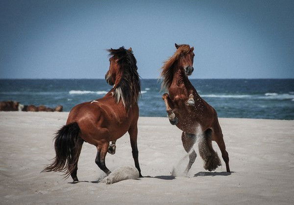 Аржана Шоюнзун