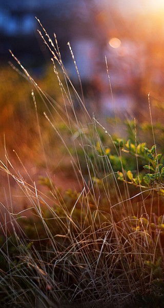 Леонид Cherchuk