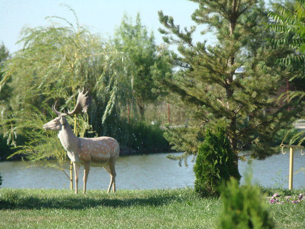 Баглан Кадырханова