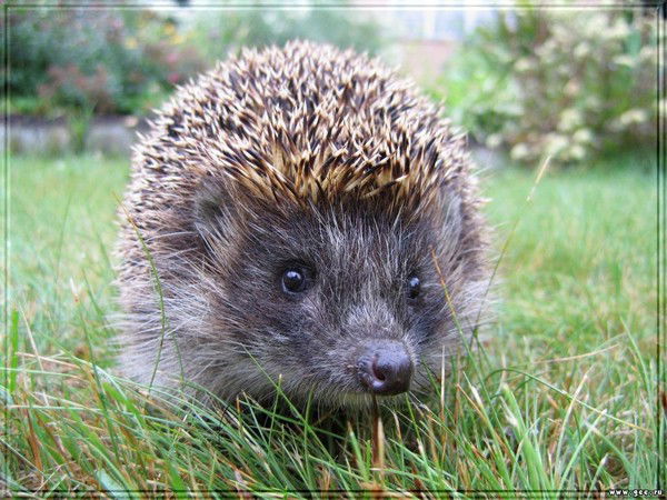 Татьяна Алексеевна