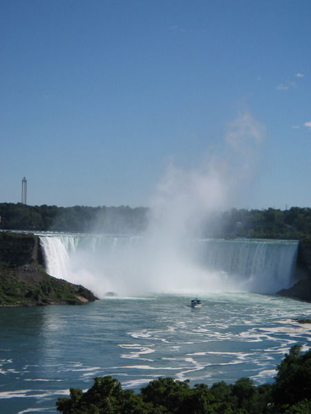 Марина Виноградова