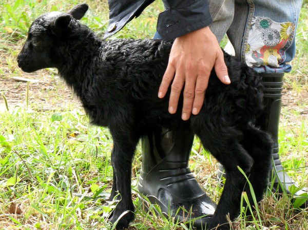 Золотухин Андрей