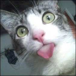 Василий Danger