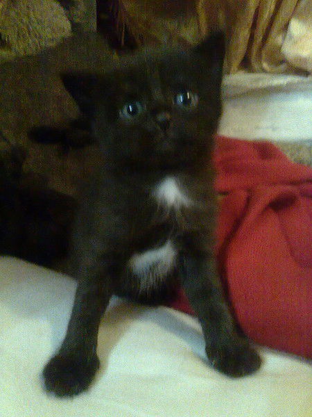 Людмила Алексеева