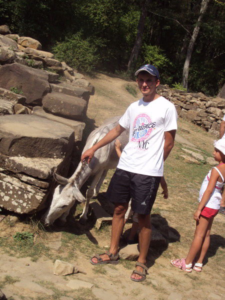 Александр Пирогов