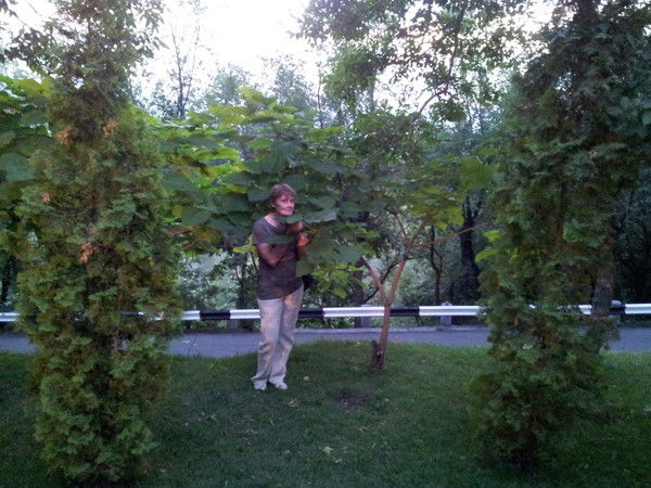 Светлана Давыдова