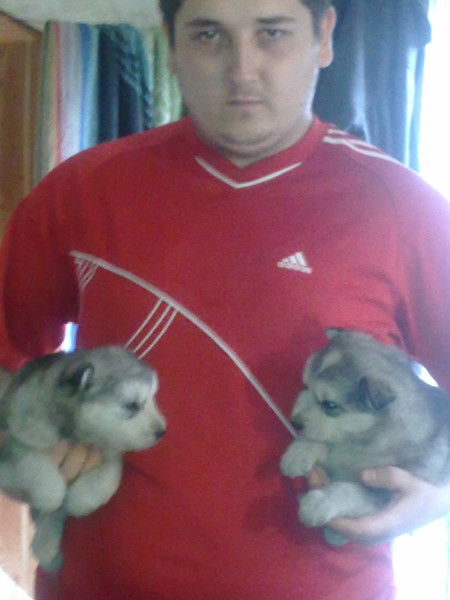 Евгений Жук