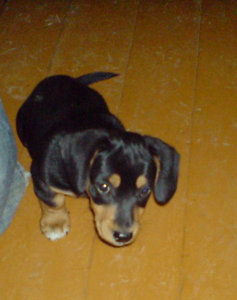 Иван Трухачев