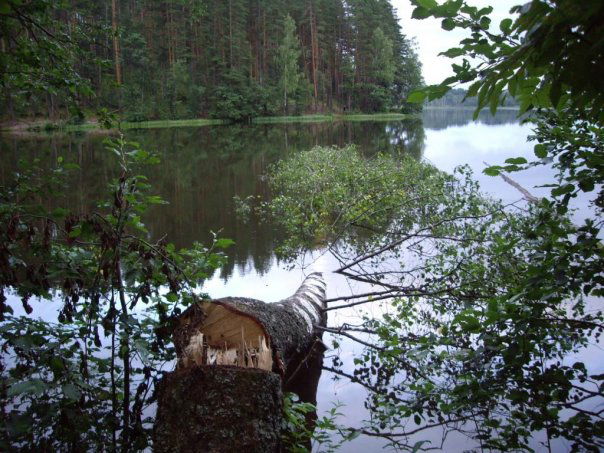 Ольга Симонова