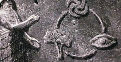 Ирина Жихарева