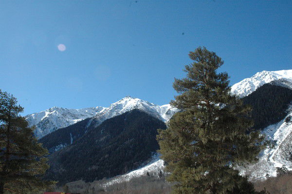 Елена Черкасова