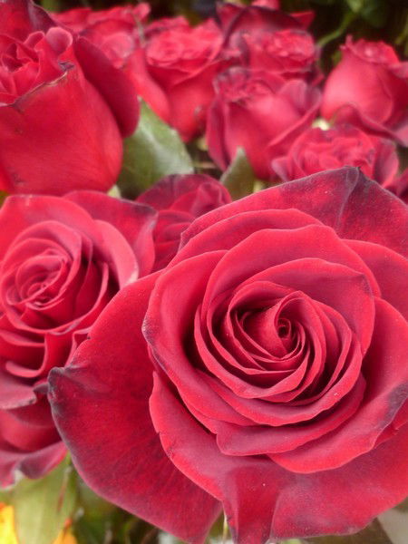 Наталья Данилова *****