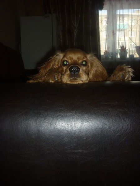 Татьяна Бокань