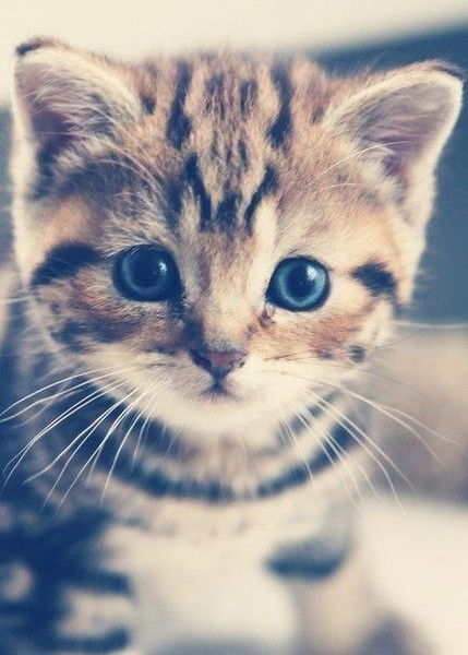 Эльвина Назирова