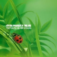 Светлана Рогалёва