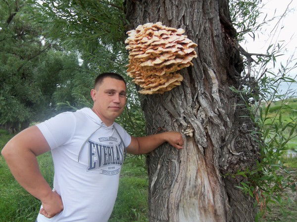 Андрей Насонов