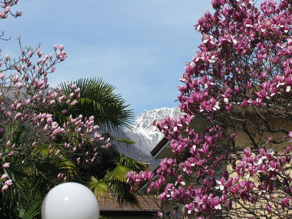 Надежда Лукашенко