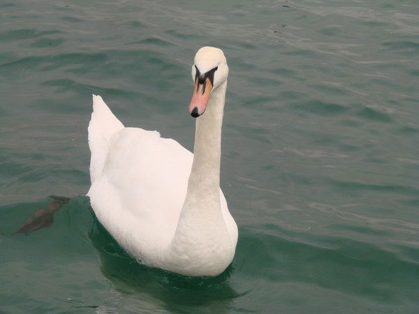 Татьяна Колобкова