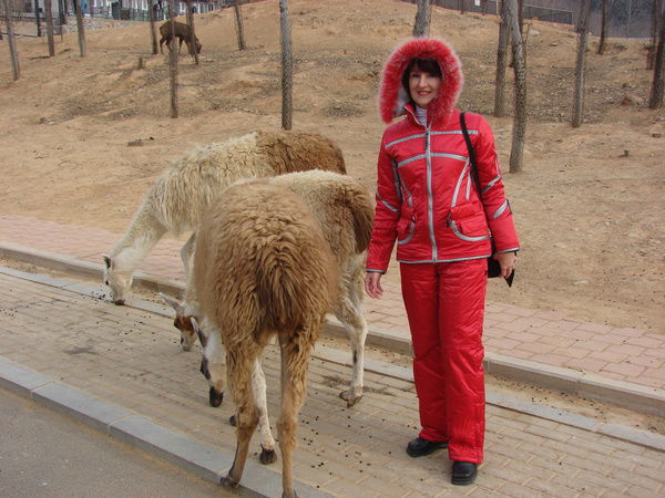 Татьяна Сидорова