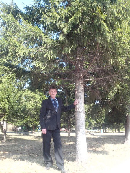 Александр Рябинцев