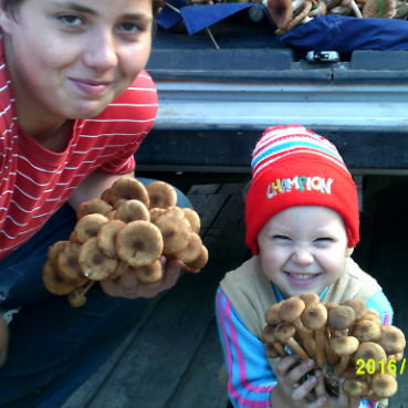 Коля Масолыго