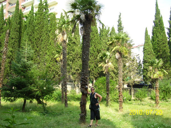 Юрий Посник