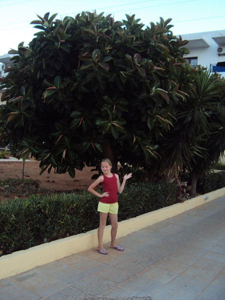 Алина Гаршина