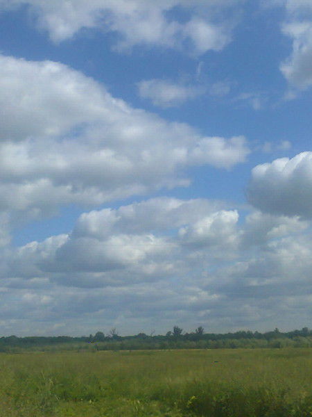 Людмила Якунина