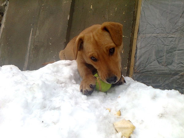 Аслан Куришбаев