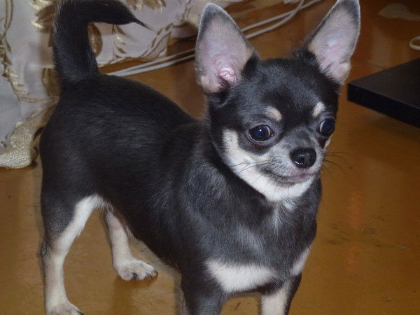 Татьяна Татьяна