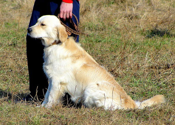 Константин Косыгин