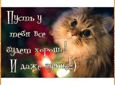 Мануальный Терапевт