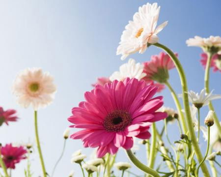 Татьяна Дорошенко