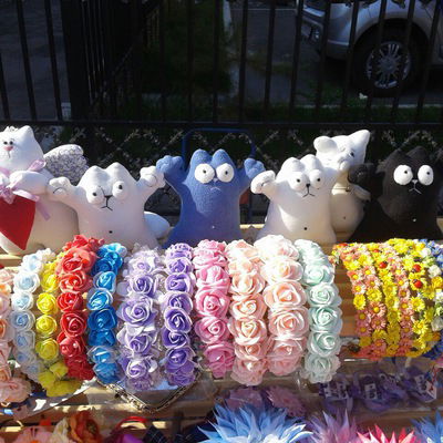 Света Светкина