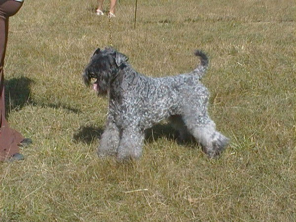 Эльвира Латыпова