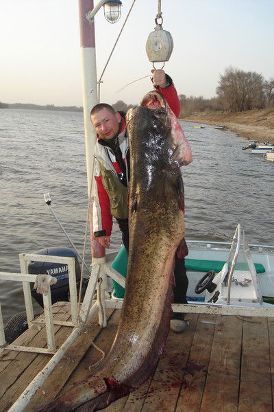 Дмитрий Зацепа