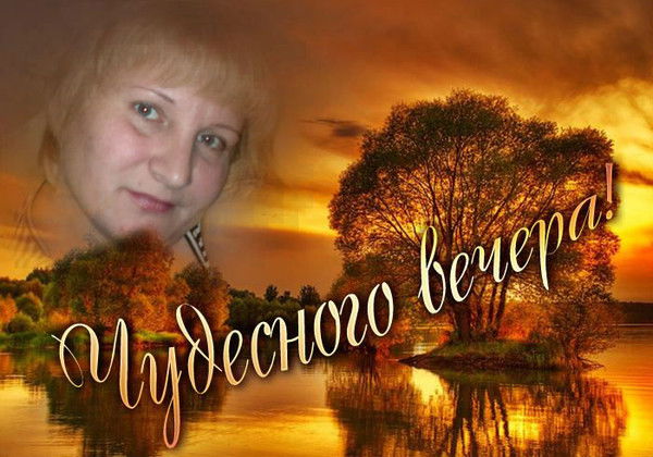 Елена Тимченко