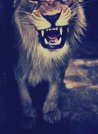 Артём Танышев