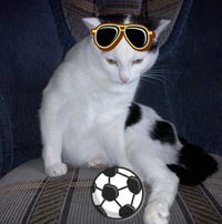 Матвей Тиунов