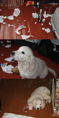 Екатерина Пермякова