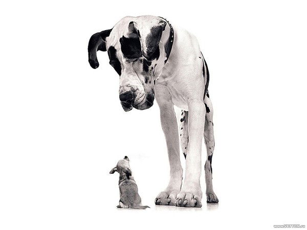 Павел Лошкарев