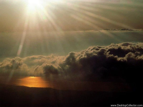 Алексей Михеев