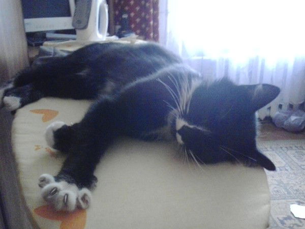 Павел Медведев