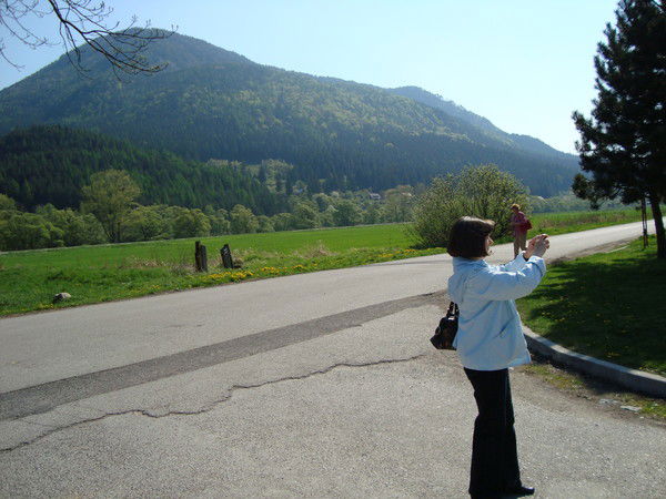 Анна Вострикова