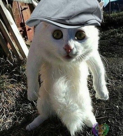 Александр Лебедев