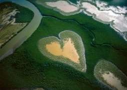 Виктория Нагорнюк