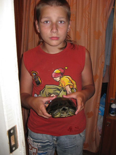 Андрей Королёв