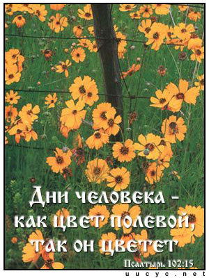 Ген Екатерина