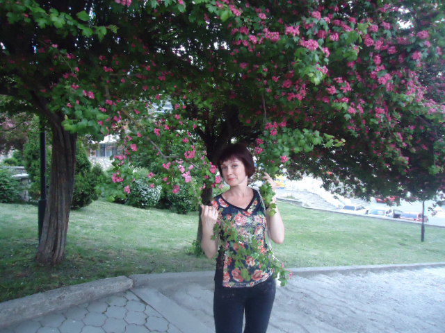 Елена Анисимова