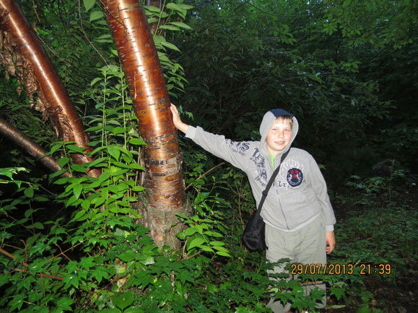 Дмитрий Бянкин